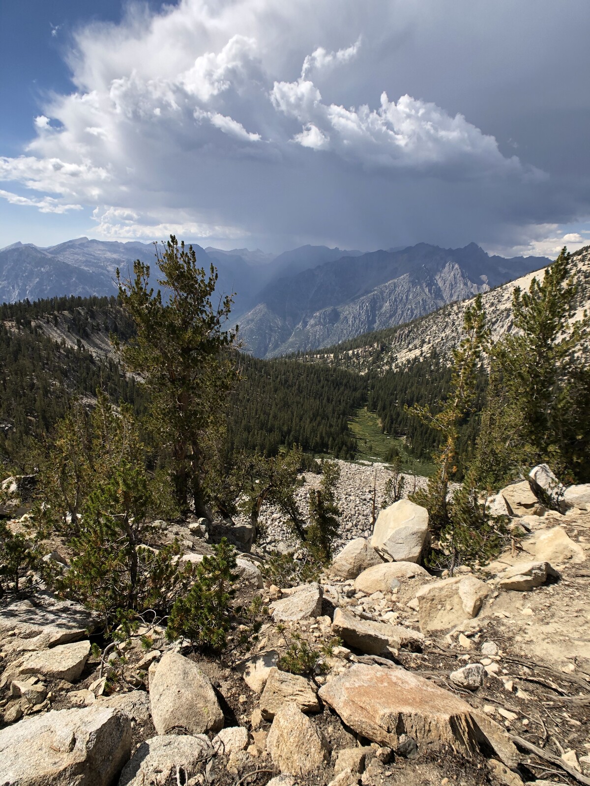 Forested mountain valley with dramatic cloud formations