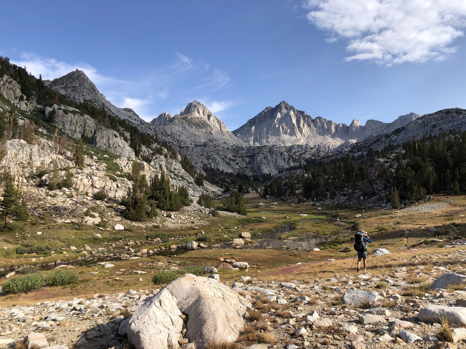 Hiker in alpine valley with jagged peaks and sparse trees