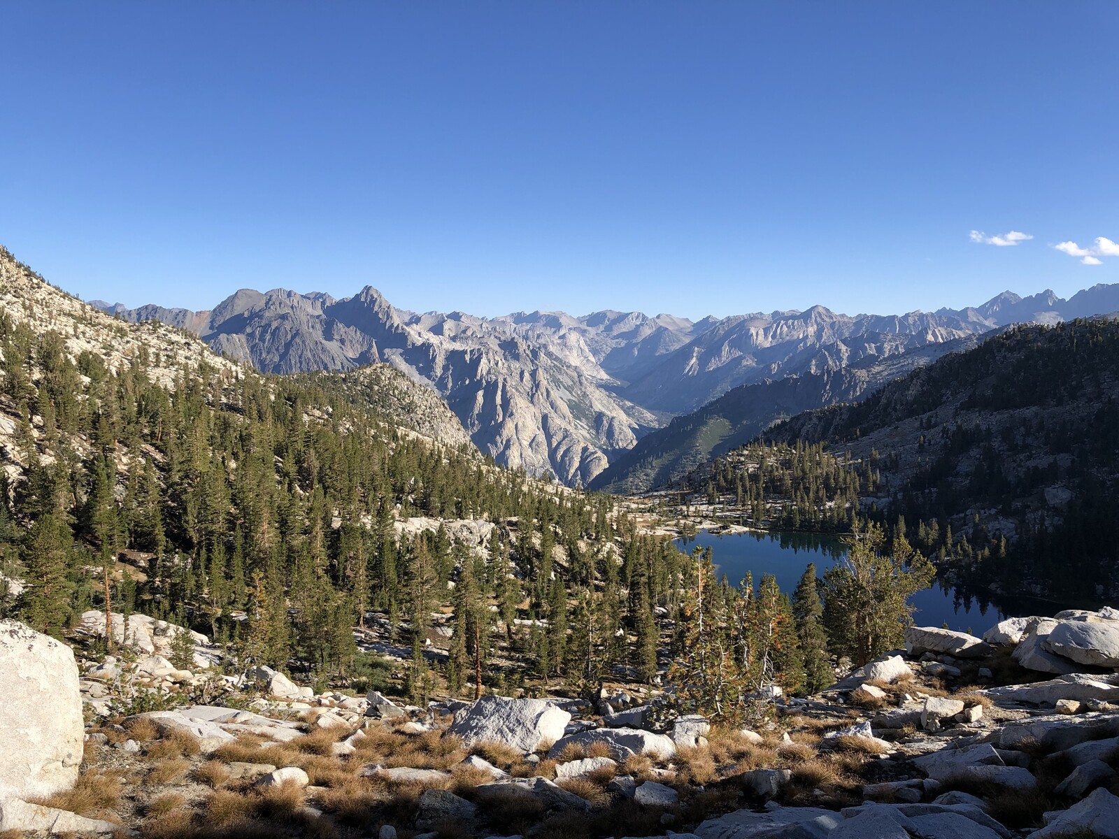 Deep mountain valley with conifer forest under clear blue sky