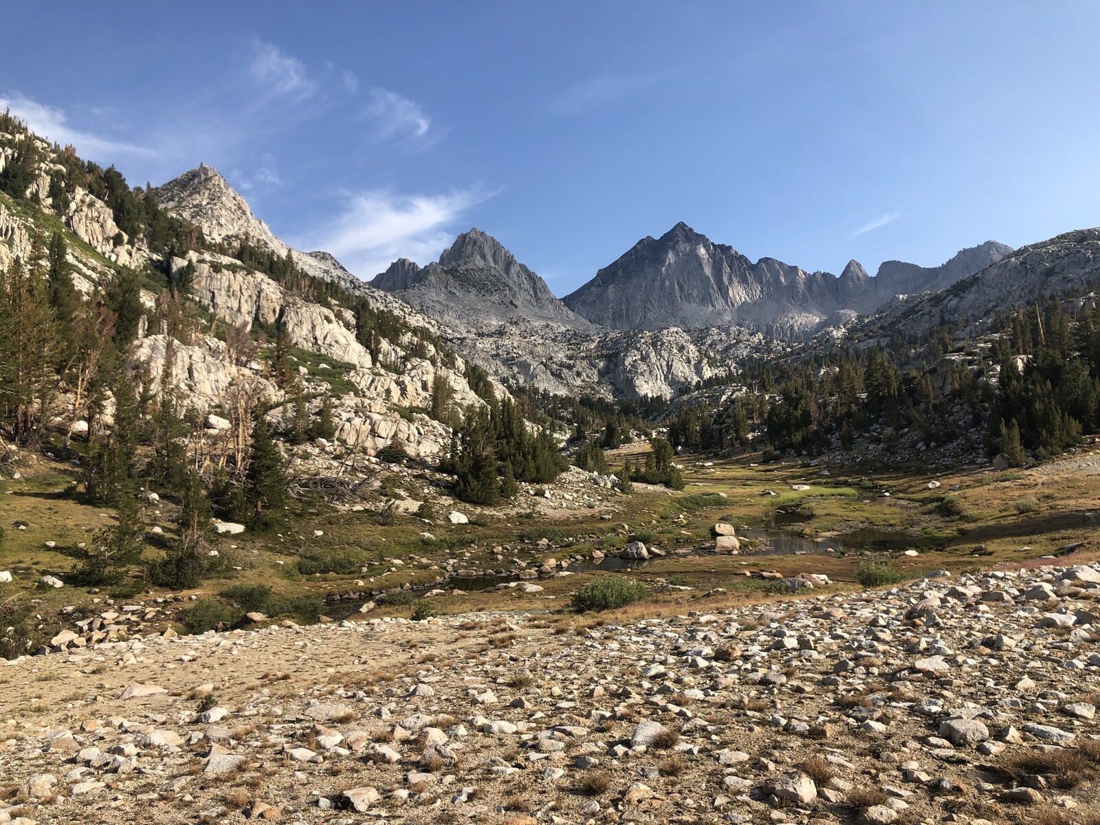 Rocky alpine valley with scattered whitebark pines and peaks