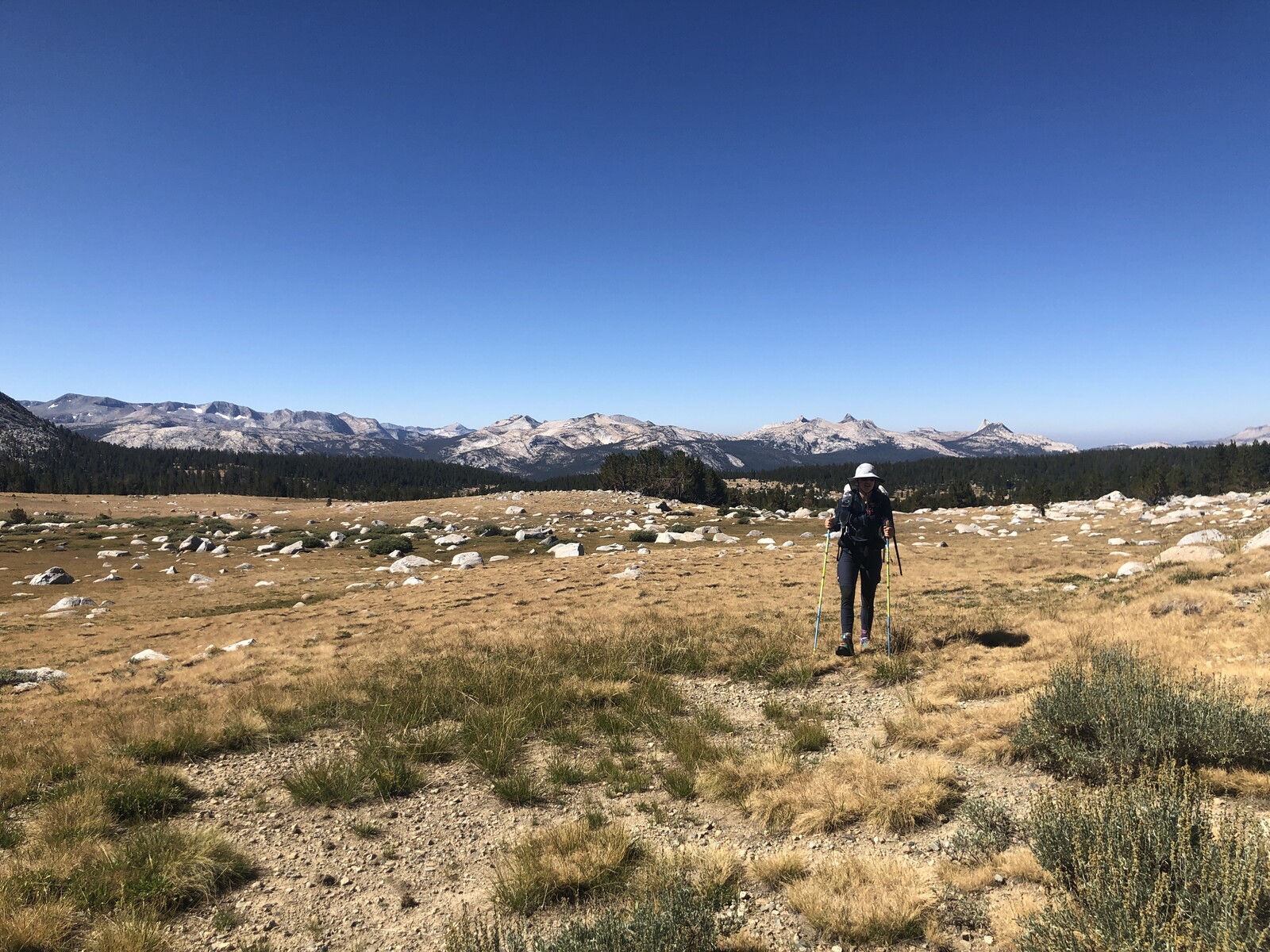Hiker standing in expansive high desert alpine meadow