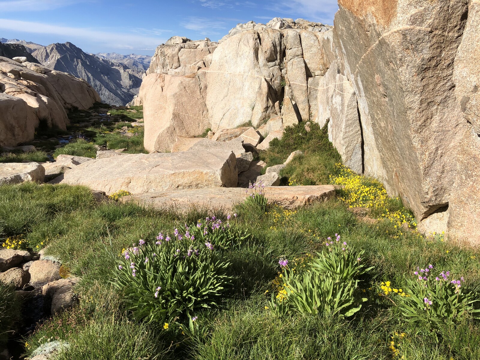 Rocky amphitheater formations with sparse alpine vegetation