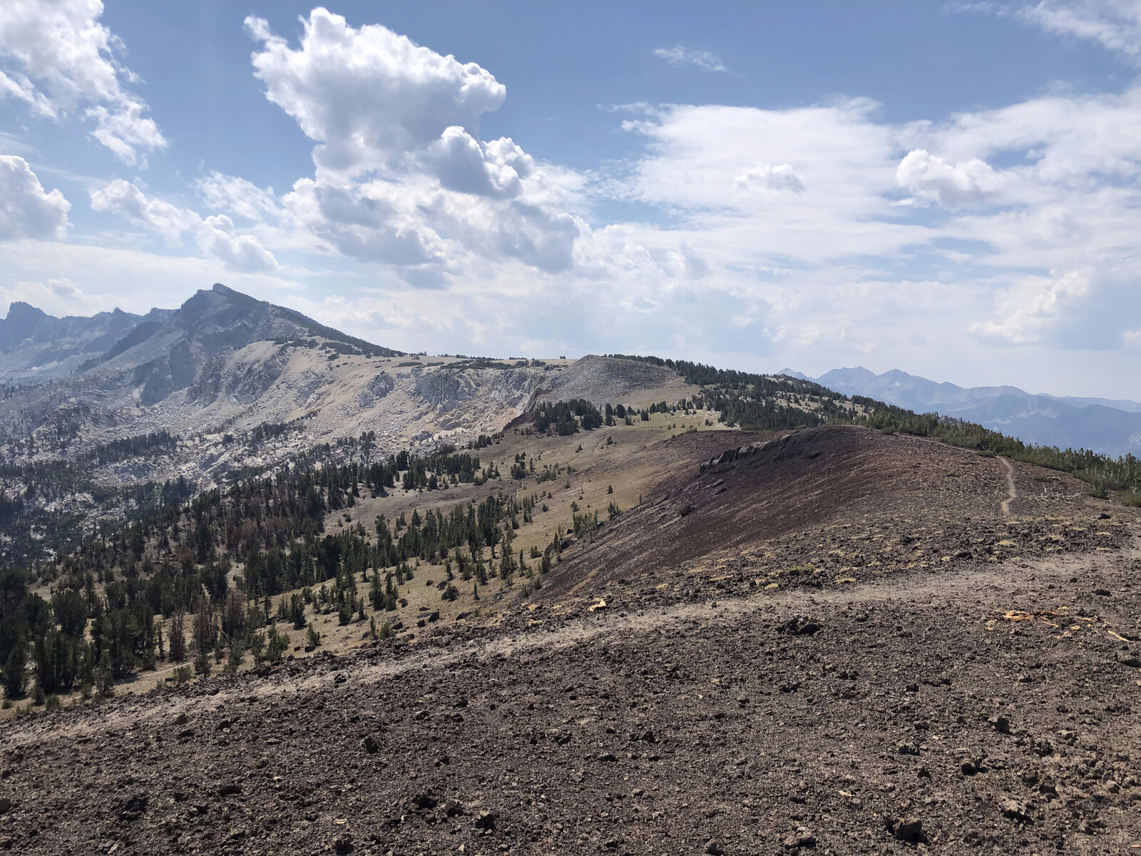 Rocky alpine plateau with sparse conifers and distant mountains