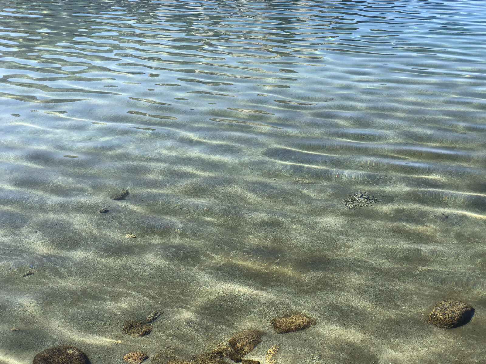 Clear turquoise water and rocky lake bottom in shallow alpine lake